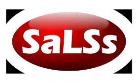 SALSS Importação e Comércio, Lda